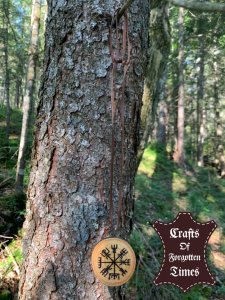 Vegvisir Lederhalsband