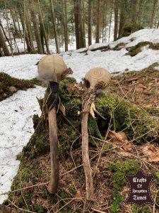 Ziegen Rohhaut Hand Rassel (Maraca) 11
