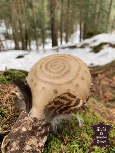 Ziegen Rohhaut Hand Rassel (Maraca) 14
