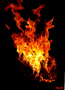  SFD 2 Schwerpunkt Brandschutz