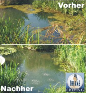 BioTopVit - Algenbekämpfung