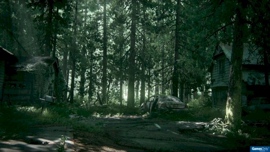 The Last of Us Bundle Part I + II 7