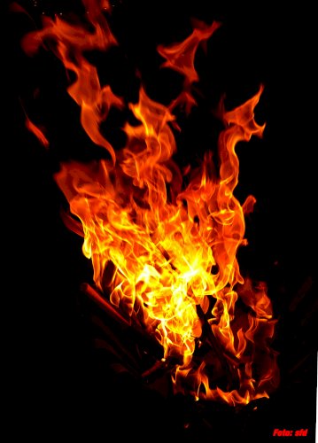  SFD 2 Schwerpunkt Brandschutz