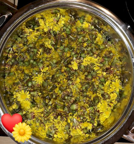 Bio-Huflattichhonig