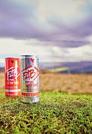 FAB X – Forever Active Boost™