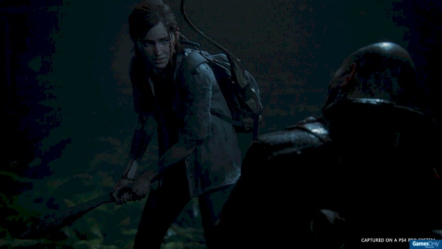 The Last of Us Part II - Special Edition