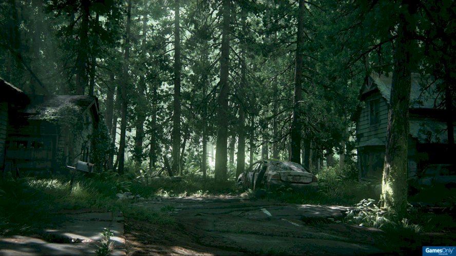 The Last of Us Bundle Part I + II